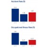 Accident Rate & Occupational Illness Rate 美洲電信(AMéRICA MóVIL) Annual Sustainability Report 2012