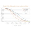 Ladder Falls Effect of Rest Break on Time to Injury 美國利寶互助保險集團(tuán)(LIBERTY MUTUAL INSURANCE GROUP)2012 R