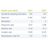 Health & Safety Performance Gas Natural Fenosa 2013 CSR Report