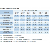 武鋼2016社會責(zé)任報告安全指數(shù)