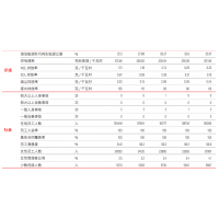 環(huán)境安全關(guān)鍵績效大唐集團2018企業(yè)社會責任報告