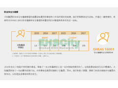 Safety&Environmental Performance 德國大陸集團(CONTINENTAL)annual_report_2017